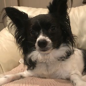 Meet your Posher, Deirdre